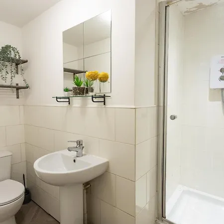 October Disc - Long - Contractors * Bristol