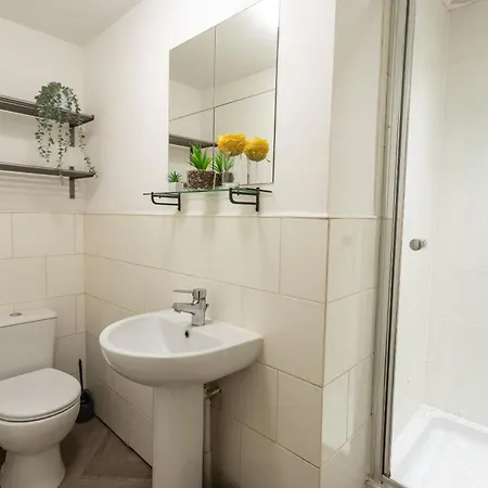 Apartman October Disc - Long - Contractors Bristol