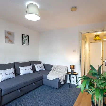 October Disc - Long - Contractors Appartement